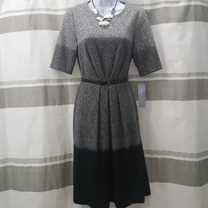 Carina Ombre belted 3/4 sleeve dress
